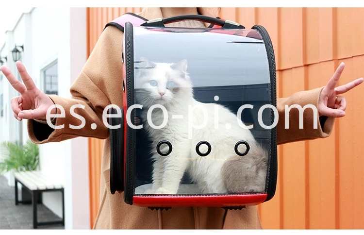 H27301e90a35042e4aa9128c6213e53aez.jpg_.webp H27301e90a35042e4aa9128c6213e53aez.jpg_.webp